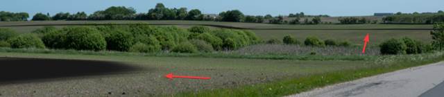 A field with a red object

Description automatically generated